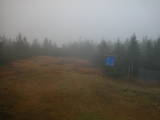 15 : 14