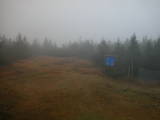 15 : 50