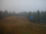 16 : 26