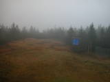 16 : 34
