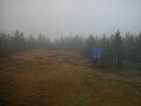 16 : 38