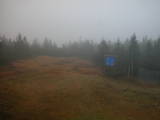 16 : 42