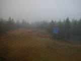 16 : 50