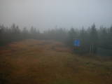 17 : 10
