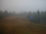09 : 06