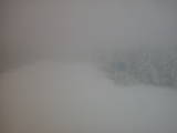 14 : 30