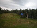 17 : 54