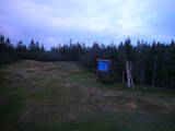 20 : 50