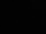 00 : 30