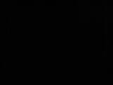 02 : 02