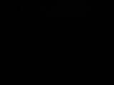 04 : 14