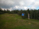 16 : 50