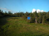 19 : 42
