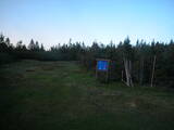 20 : 50