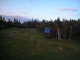 20 : 50