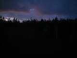 03 : 50