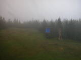 15 : 14