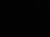 00 : 42