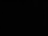 00 : 46