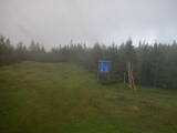 15 : 50
