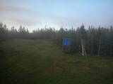 20 : 46