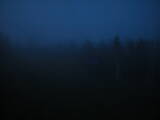 22 : 10