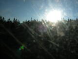06 : 06