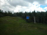 11 : 50