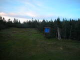 20 : 50