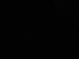 03 : 06