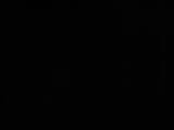 03 : 30