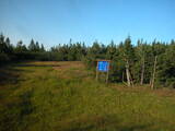 19 : 34