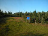 19 : 42