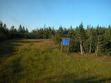 19 : 46