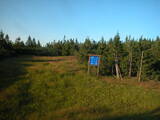 19 : 54