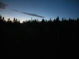 03 : 46