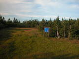 19 : 46