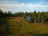 19 : 58