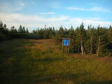 20 : 10