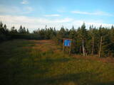 20 : 14