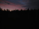 03 : 46