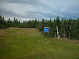 16 : 50