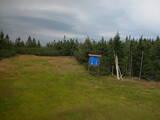 17 : 42