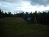 19 : 54