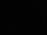 02 : 46