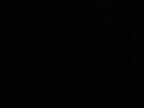 03 : 10