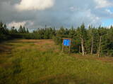 19 : 26
