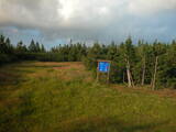 19 : 38