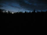 03 : 46