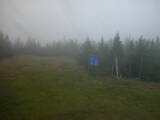 15 : 50